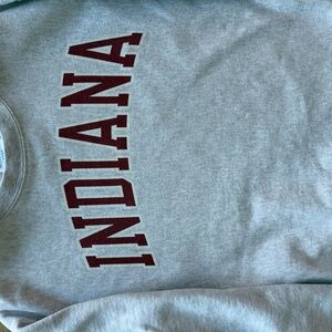 Champion Gray Reverse Weave Sweatshirt